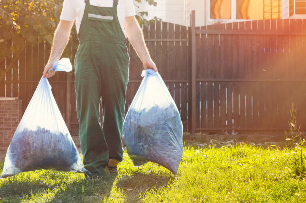 Best Dumpster Rental Services  in Eastpointe, MI