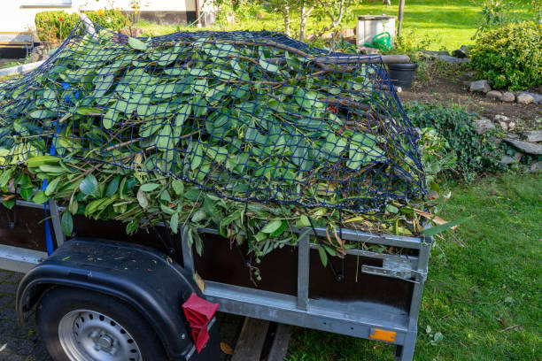 Best Mattress Disposal  in Eastpointe, MI